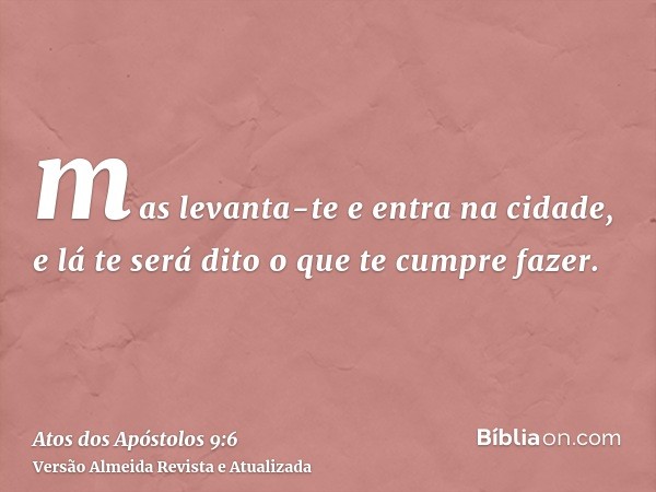 mas levanta-te e entra na cidade, e lá te será dito o que te cumpre fazer.