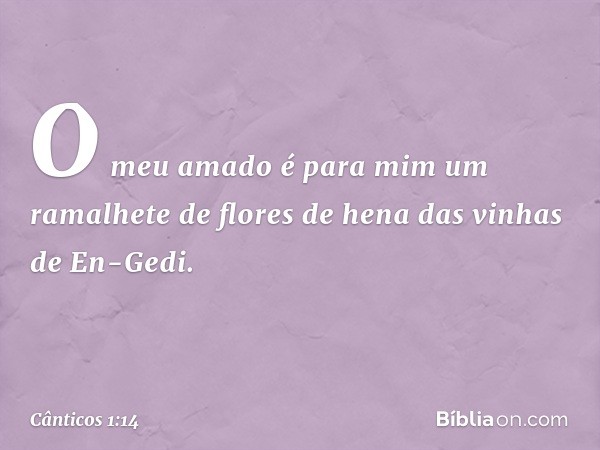 O meu amado é para mim
um ramalhete de flores de hena
das vinhas de En-Gedi. -- Cânticos 1:14