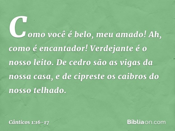 Como você é belo, meu amado!
Ah, como é encantador!
Verdejante é o nosso leito. De cedro são as vigas da nossa casa,
e de cipreste os caibros do nosso telhado.