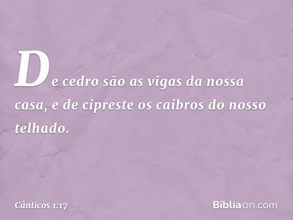 De cedro são as vigas da nossa casa,
e de cipreste os caibros do nosso telhado. -- Cânticos 1:17