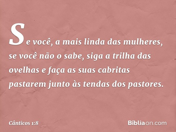 Se você, a mais linda das mulheres,
se você não o sabe,
siga a trilha das ovelhas
e faça as suas cabritas pastarem
junto às tendas dos pastores. -- Cânticos 1:8