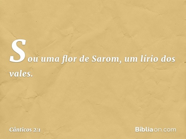 Sou uma flor de Sarom,
um lírio dos vales. -- Cânticos 2:1