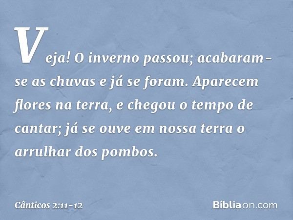 Veja! O inverno passou;
acabaram-se as chuvas e já se foram. Aparecem flores na terra,
e chegou o tempo de cantar;
já se ouve em nossa terra
o arrulhar dos pomb