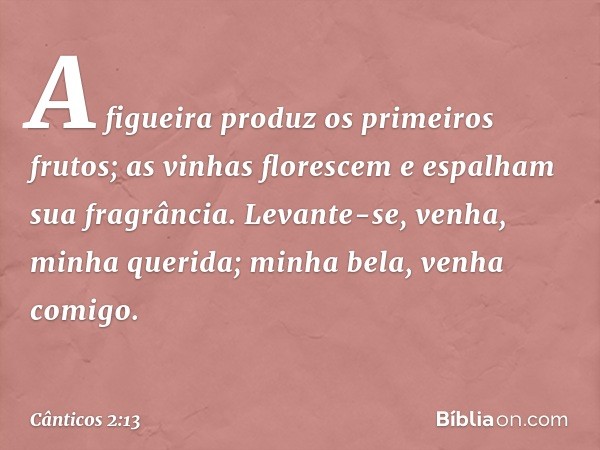 A figueira produz os primeiros frutos;
as vinhas florescem e espalham
sua fragrância.
Levante-se, venha, minha querida;
minha bela, venha comigo. -- Cânticos 2: