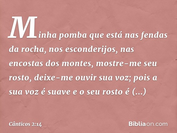 Minha pomba que está
nas fendas da rocha,
nos esconderijos,
nas encostas dos montes,
mostre-me seu rosto,
deixe-me ouvir sua voz;
pois a sua voz é suave
e o seu