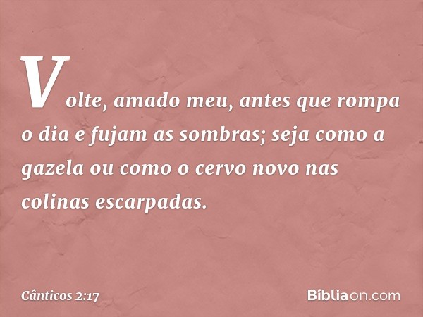 Volte, amado meu,
antes que rompa o dia
e fujam as sombras;
seja como a gazela
ou como o cervo novo
nas colinas escarpadas. -- Cânticos 2:17