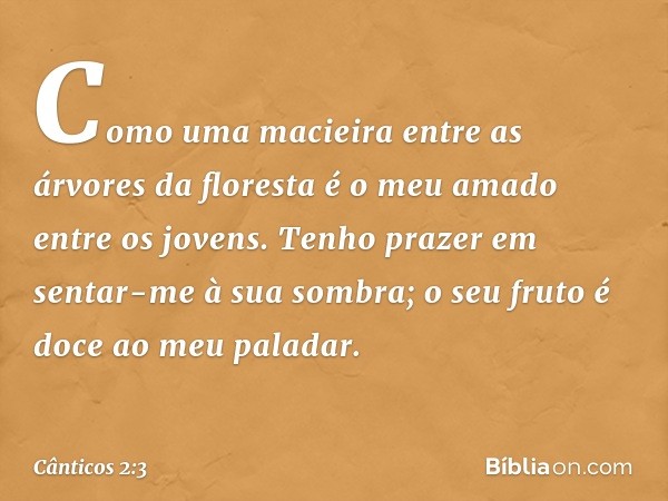 Como uma macieira entre
as árvores da floresta
é o meu amado entre os jovens.
Tenho prazer em sentar-me
à sua sombra;
o seu fruto é doce ao meu paladar. -- Cânt