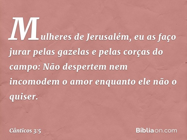 Mulheres de Jerusalém, eu as faço jurar
pelas gazelas e pelas corças do campo:
Não despertem nem incomodem o amor
enquanto ele não o quiser. -- Cânticos 3:5