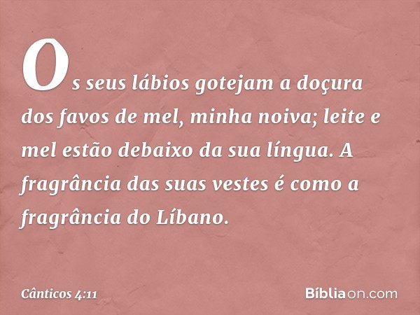 Os seus lábios gotejam a doçura
dos favos de mel, minha noiva;
leite e mel estão debaixo da sua língua.
A fragrância das suas vestes
é como a fragrância do Líba