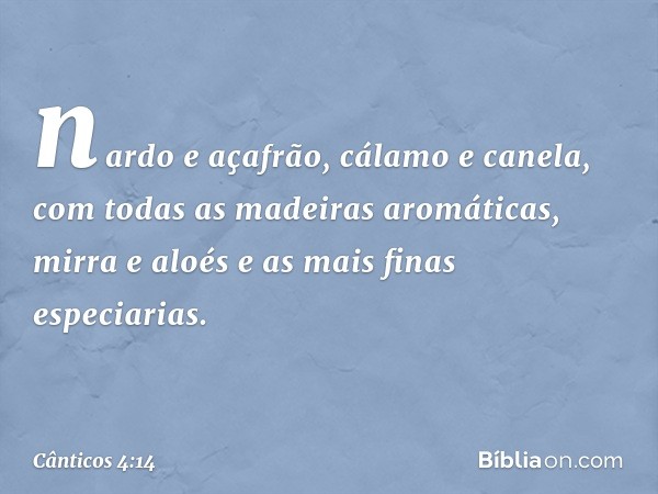 nardo e açafrão, cálamo e canela,
com todas as madeiras aromáticas,
mirra e aloés e as mais finas especiarias. -- Cânticos 4:14