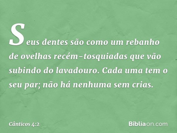 Seus dentes são como um
rebanho de ovelhas recém-tosquiadas
que vão subindo do lavadouro.
Cada uma tem o seu par;
não há nenhuma sem crias. -- Cânticos 4:2