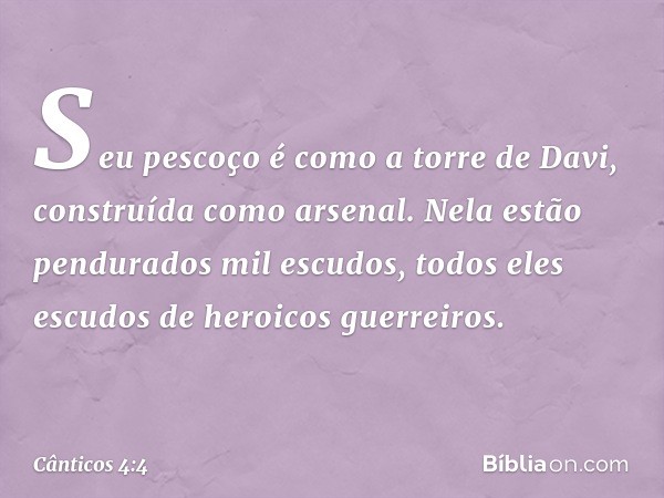 Seu pescoço é como a torre de Davi,
construída como arsenal.
Nela estão pendurados mil escudos,
todos eles escudos de heroicos guerreiros. -- Cânticos 4:4