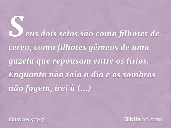 Seus dois seios são como filhotes de cervo,
como filhotes gêmeos de uma gazela
que repousam entre os lírios. Enquanto não raia o dia
e as sombras não fogem,
ire