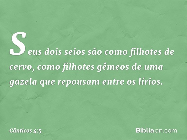 Seus dois seios são como filhotes de cervo,
como filhotes gêmeos de uma gazela
que repousam entre os lírios. -- Cânticos 4:5