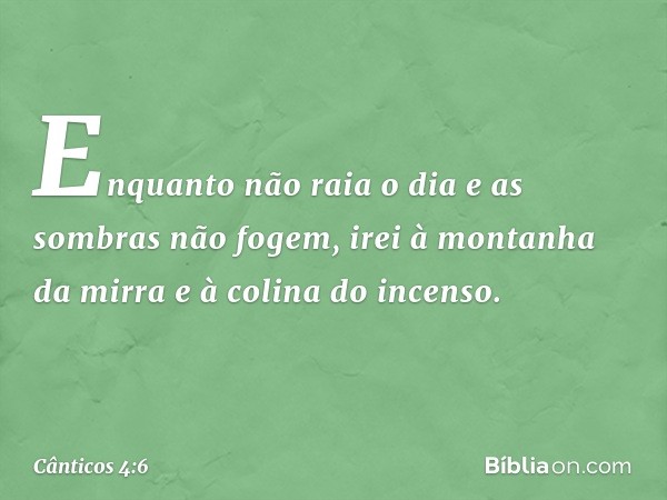 Enquanto não raia o dia
e as sombras não fogem,
irei à montanha da mirra
e à colina do incenso. -- Cânticos 4:6