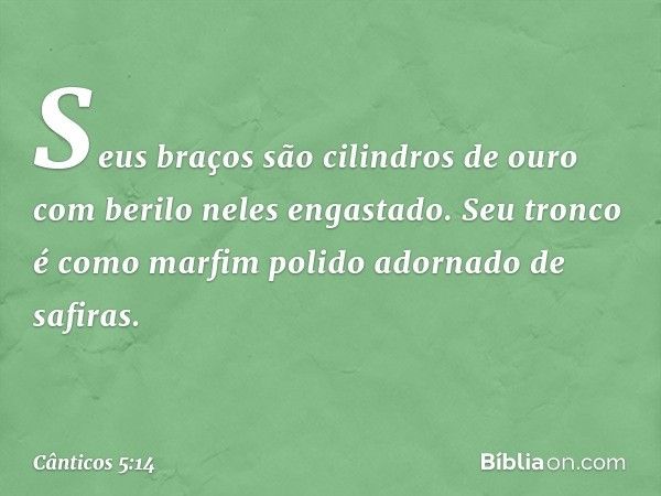 Seus braços são cilindros de ouro
com berilo neles engastado.
Seu tronco é como marfim polido
adornado de safiras. -- Cânticos 5:14