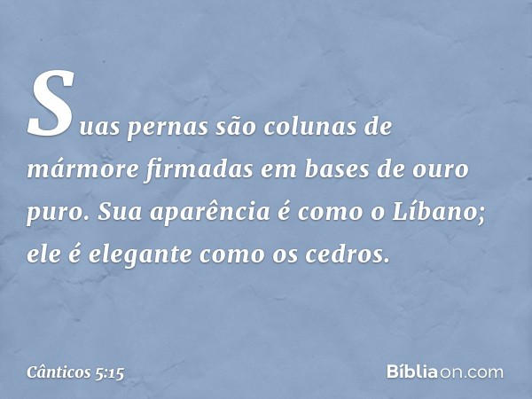 Suas pernas são colunas de mármore
firmadas em bases de ouro puro.
Sua aparência é como o Líbano;
ele é elegante como os cedros. -- Cânticos 5:15