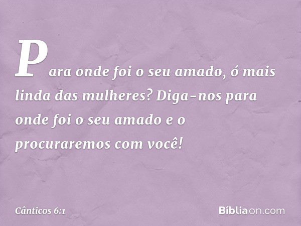 Para onde foi o seu amado,
ó mais linda das mulheres?
Diga-nos para onde foi o seu amado
e o procuraremos com você! -- Cânticos 6:1