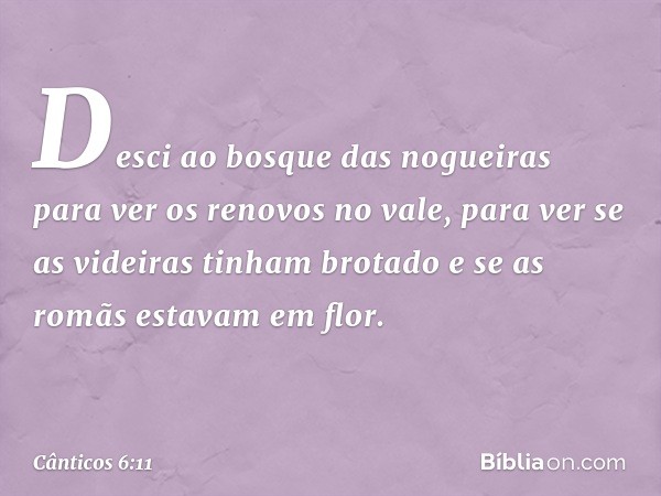 Desci ao bosque das nogueiras
para ver os renovos no vale,
para ver se as videiras tinham brotado
e se as romãs estavam em flor. -- Cânticos 6:11