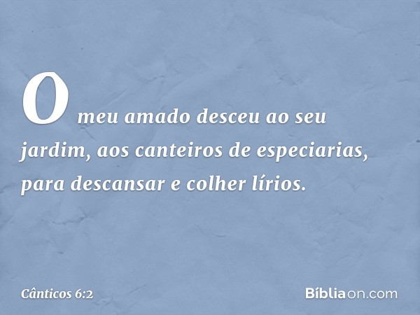 O meu amado desceu ao seu jardim,
aos canteiros de especiarias,
para descansar
e colher lírios. -- Cânticos 6:2