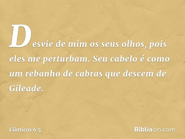 Desvie de mim os seus olhos,
pois eles me perturbam.
Seu cabelo é como
um rebanho de cabras
que descem de Gileade. -- Cânticos 6:5