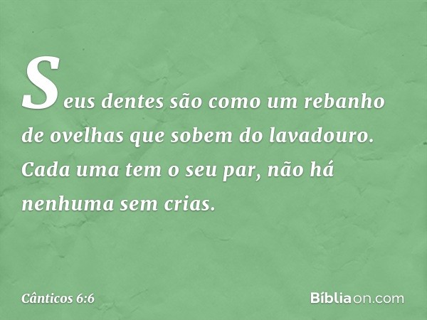 Seus dentes são como
um rebanho de ovelhas
que sobem do lavadouro.
Cada uma tem o seu par,
não há nenhuma sem crias. -- Cânticos 6:6