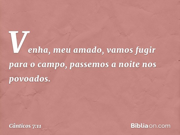 Venha, meu amado,
vamos fugir para o campo,
passemos a noite nos povoados. -- Cânticos 7:11