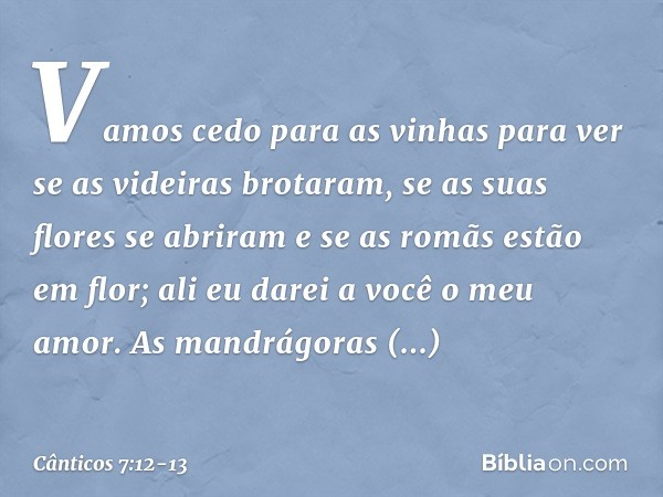 Vamos cedo para as vinhas
para ver se as videiras brotaram,
se as suas flores se abriram
e se as romãs estão em flor;
ali eu darei a você o meu amor. As mandrág