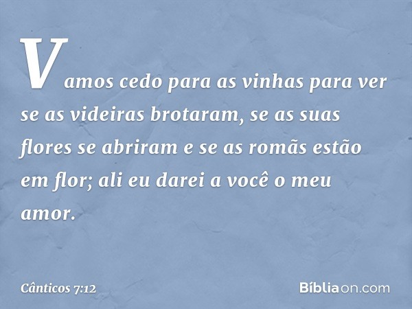 Vamos cedo para as vinhas
para ver se as videiras brotaram,
se as suas flores se abriram
e se as romãs estão em flor;
ali eu darei a você o meu amor. -- Cântico