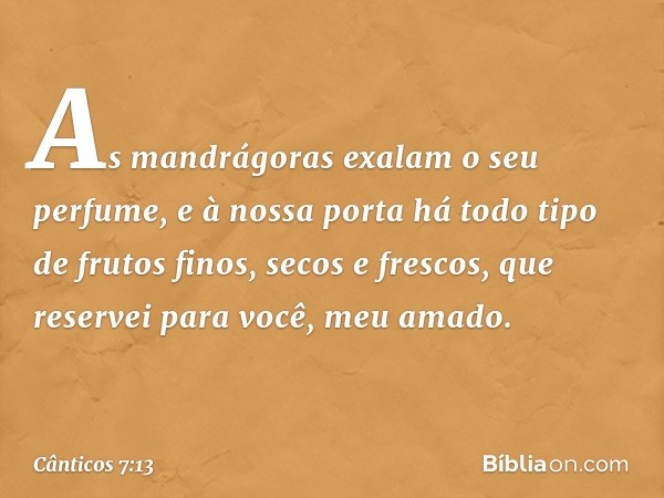 As mandrágoras exalam o seu perfume,
e à nossa porta há todo tipo de frutos finos,
secos e frescos,
que reservei para você, meu amado. -- Cânticos 7:13