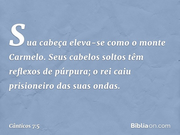 Sua cabeça eleva-se
como o monte Carmelo.
Seus cabelos soltos
têm reflexos de púrpura;
o rei caiu prisioneiro das suas ondas. -- Cânticos 7:5