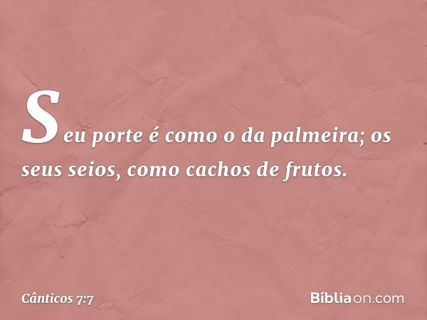 Seu porte é como o da palmeira;
os seus seios, como cachos de frutos. -- Cânticos 7:7