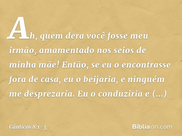 Ah, quem dera você fosse meu irmão,
amamentado nos seios de minha mãe!
Então, se eu o encontrasse fora de casa,
eu o beijaria,
e ninguém me desprezaria. Eu o co