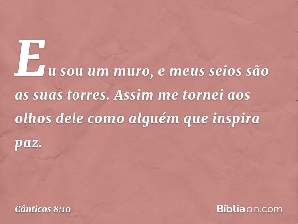 Eu sou um muro,
e meus seios são as suas torres.
Assim me tornei aos olhos dele
como alguém que inspira paz. -- Cânticos 8:10