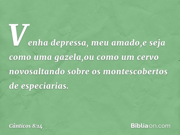 Venha depressa, meu amado,e seja como uma gazela,ou como um cervo novosaltando sobre os montescobertos de especiarias. -- Cânticos 8:14