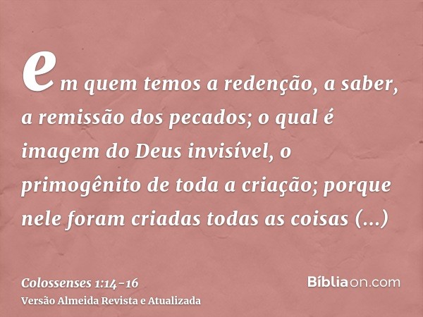 em quem temos a redenção, a saber, a remissão dos pecados;o qual é imagem do Deus invisível, o primogênito de toda a criação;porque nele foram criadas todas as 