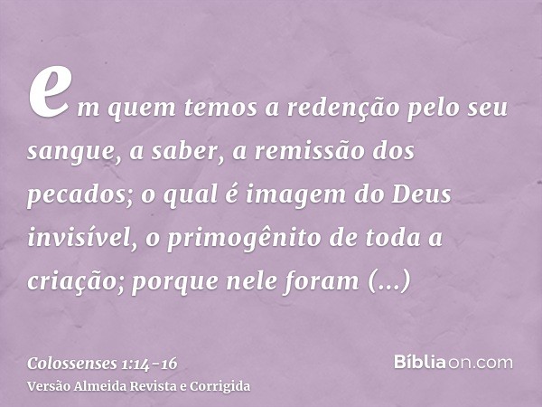 em quem temos a redenção pelo seu sangue, a saber, a remissão dos pecados;o qual é imagem do Deus invisível, o primogênito de toda a criação;porque nele foram c