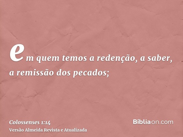 em quem temos a redenção, a saber, a remissão dos pecados;