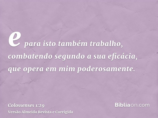 e para isto também trabalho, combatendo segundo a sua eficácia, que opera em mim poderosamente.