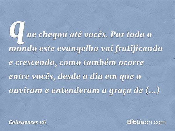 que chegou até vocês. Por todo o mundo este evangelho vai frutificando e crescendo, como também ocorre entre vocês, desde o dia em que o ouviram e entenderam a 