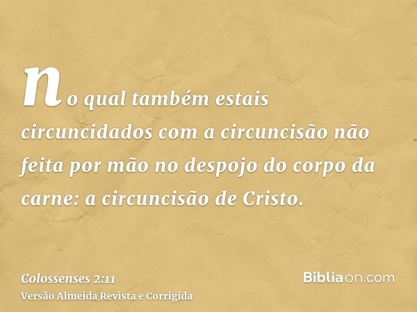 no qual também estais circuncidados com a circuncisão não feita por mão no despojo do corpo da carne: a circuncisão de Cristo.