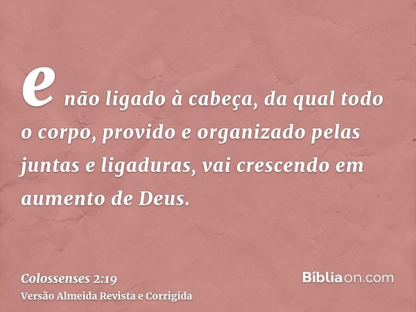 e não ligado à cabeça, da qual todo o corpo, provido e organizado pelas juntas e ligaduras, vai crescendo em aumento de Deus.