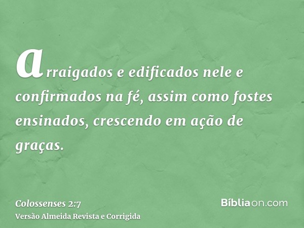 arraigados e edificados nele e confirmados na fé, assim como fostes ensinados, crescendo em ação de graças.