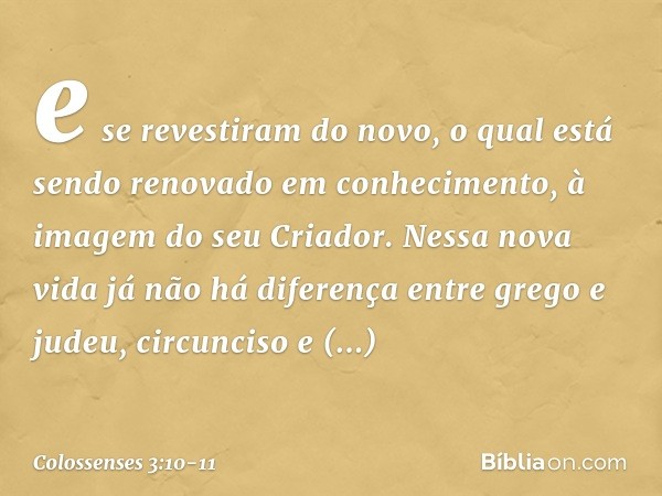 e se revestiram do novo, o qual está sendo renovado em conhecimento, à imagem do seu Criador. Nessa nova vida já não há diferença entre grego e judeu, circuncis