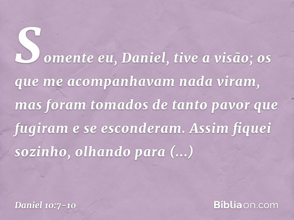 Somente eu, Daniel, tive a visão; os que me acompanhavam nada viram, mas foram tomados de tanto pavor que fugiram e se esconderam. Assim fiquei sozinho, olhand