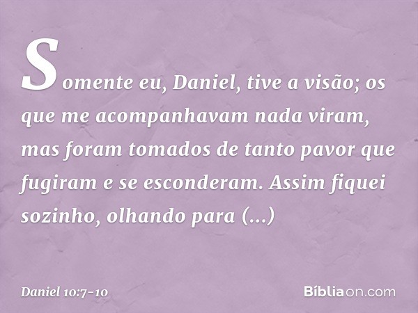 Somente eu, Daniel, tive a visão; os que me acompanhavam nada viram, mas foram tomados de tanto pavor que fugiram e se esconde­ram. Assim fiquei sozinho, olhand