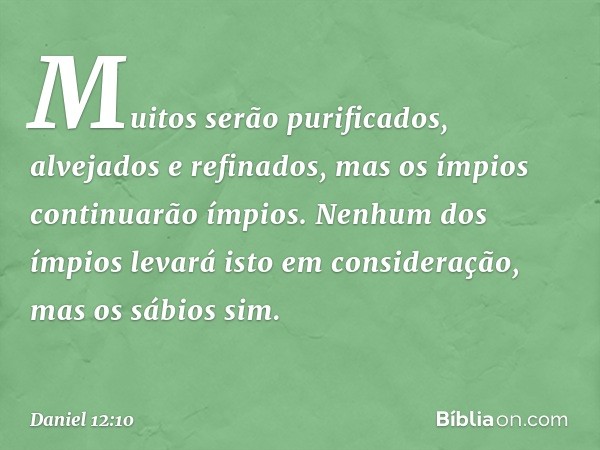 Muitos serão purificados, alvejados e refinados, mas os ímpios continuarão ímpios. Nenhum dos ímpios levará isto em consideração, mas os sábios sim. -- Daniel 1