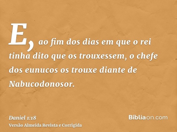 E, ao fim dos dias em que o rei tinha dito que os trouxessem, o chefe dos eunucos os trouxe diante de Nabucodonosor.