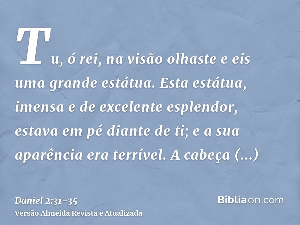 Tu, ó rei, na visão olhaste e eis uma grande estátua. Esta estátua, imensa e de excelente esplendor, estava em pé diante de ti; e a sua aparência era terrível.A