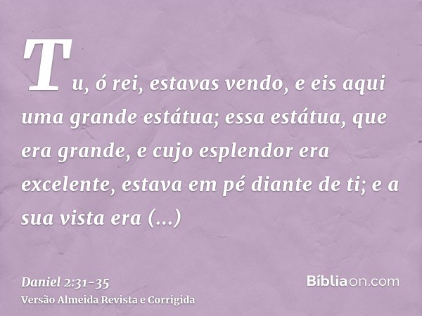 Tu, ó rei, estavas vendo, e eis aqui uma grande estátua; essa estátua, que era grande, e cujo esplendor era excelente, estava em pé diante de ti; e a sua vista 